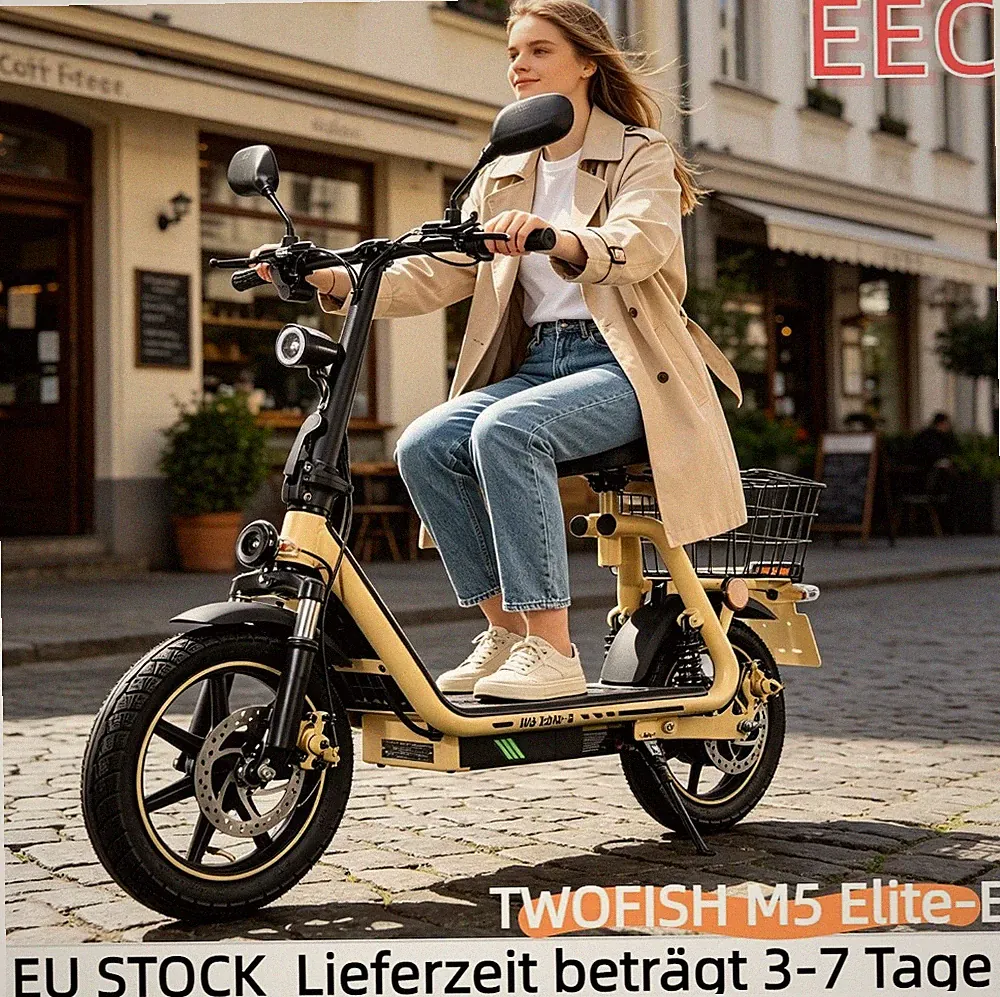 14" Elektroroller Mit Sitz,Mit Straßenzulassung & EEC 48V 13AH TWOFISH E-Scooter