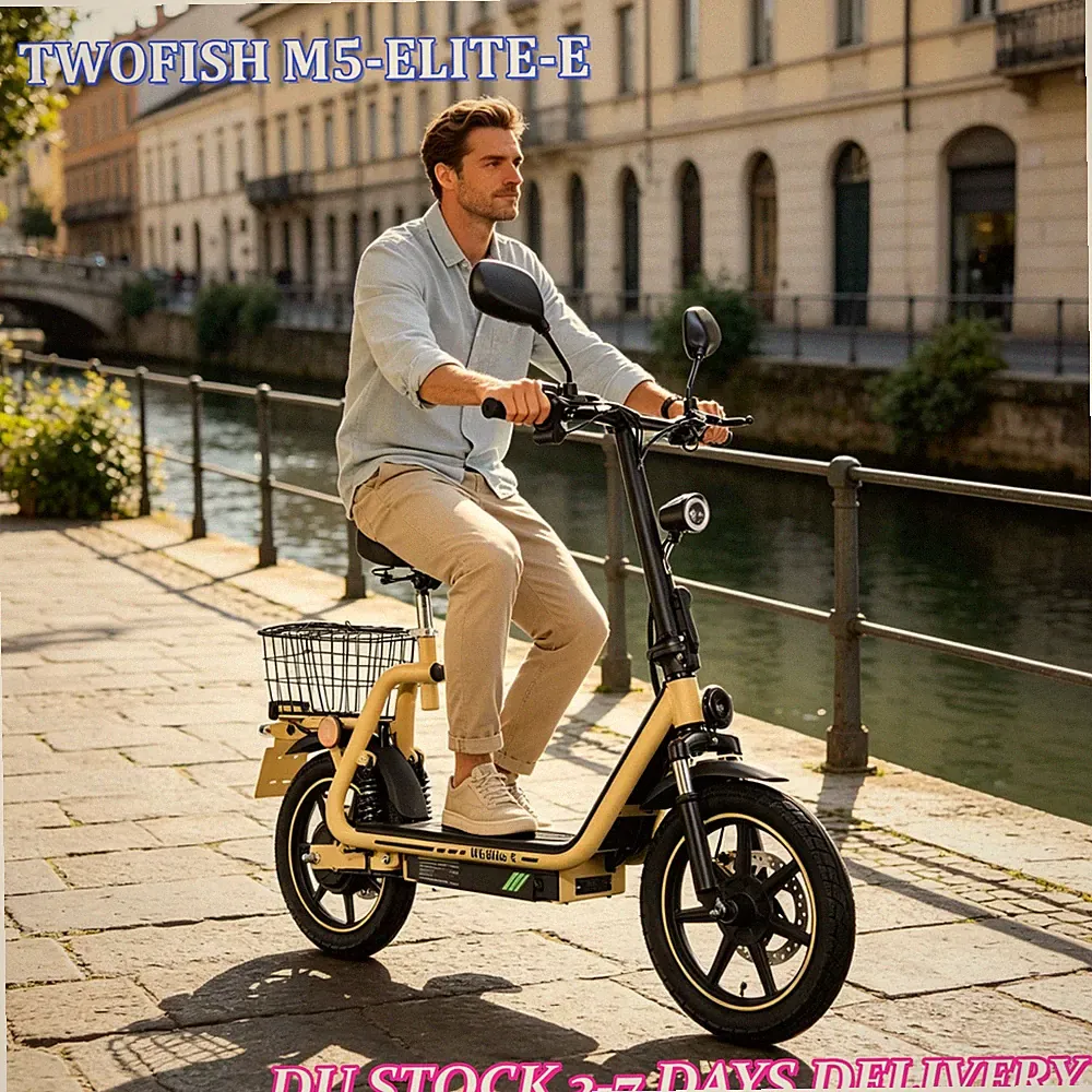 14Zoll Elektroroller Mit Straßenzulassung 48V13AH E-Scooter für Erwachsene