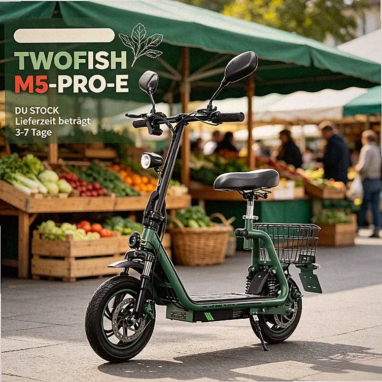 48V 13AH Mit Straßenzulassung 12" Elektroroller mit Sitz E-Scooter TWOFISH M5PRO
