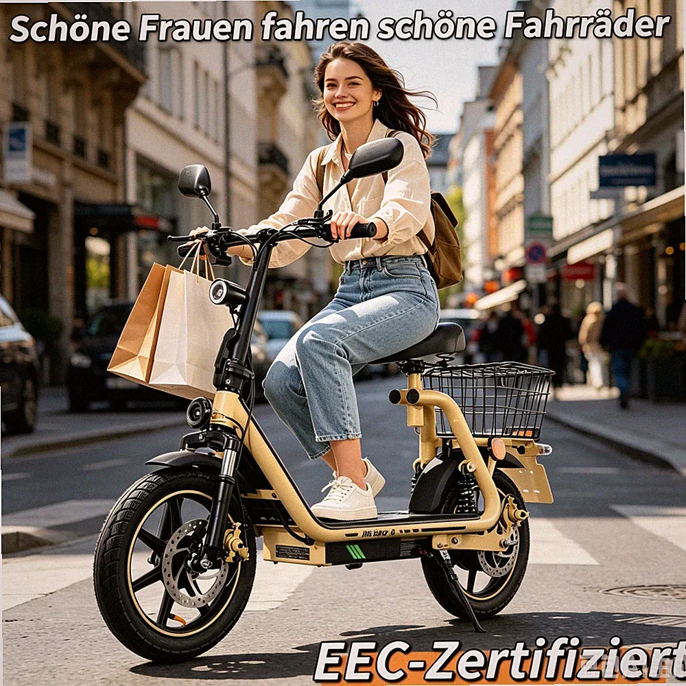 48V13AH E-Scooter für Erwachsene E-Bike14Zoll Elektroroller ECC-Mark-Zulassung