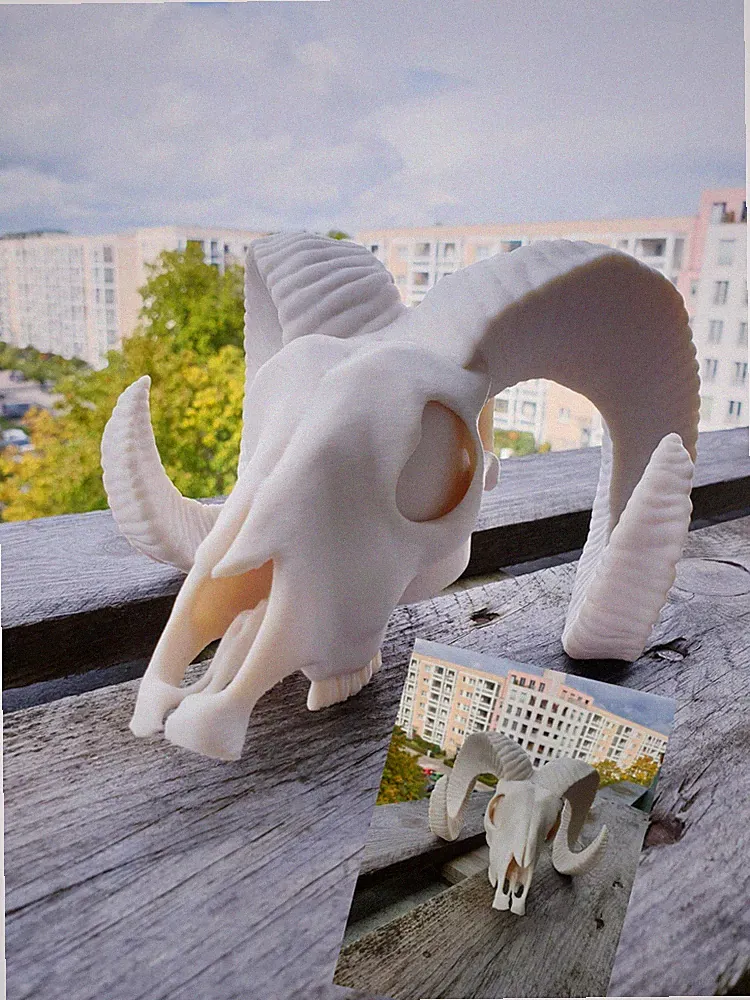 Abdeckkappe AHK DODGE RAM WIDDER SKULL Schutzkappe - MIT DIEBSTAHLSCHUTZ