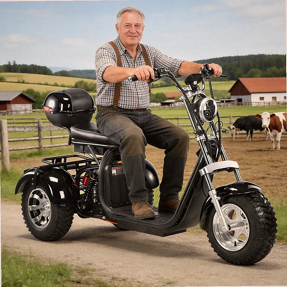 COC Elektro-Dreiräder mit gesetzlicher Lizenz auf deutschen Straßen 25/45KM/H