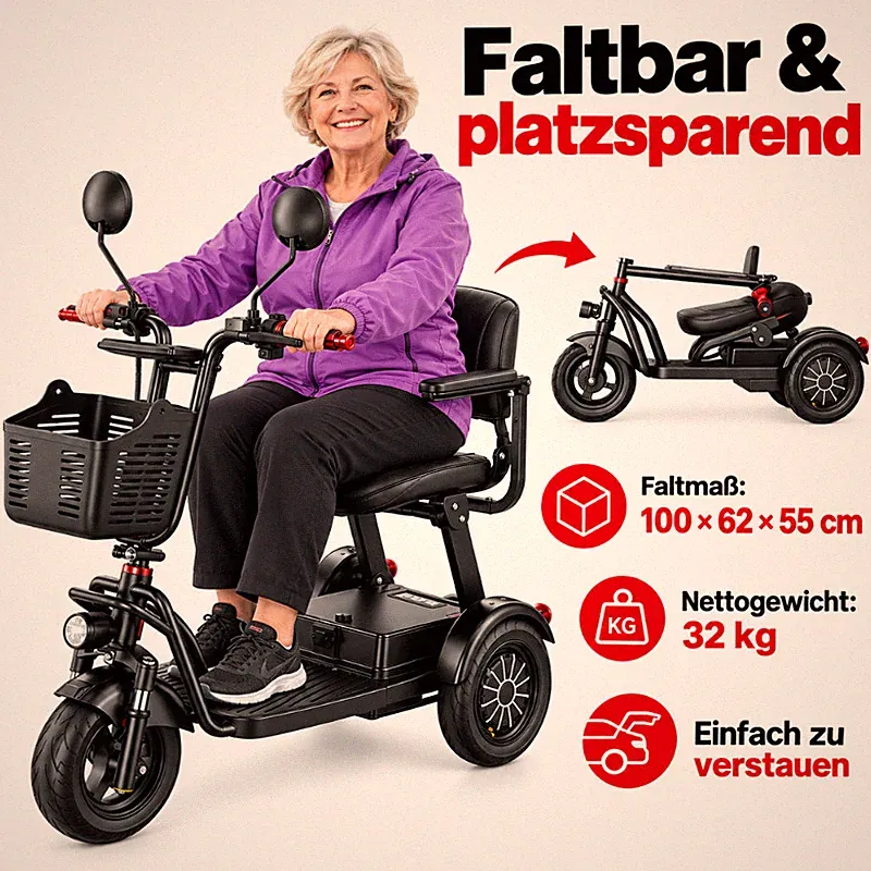 Daibot E Scooter mit Sitz 3 Rad 1000W 48V 20Ah klappbar für Senioren und Alltag