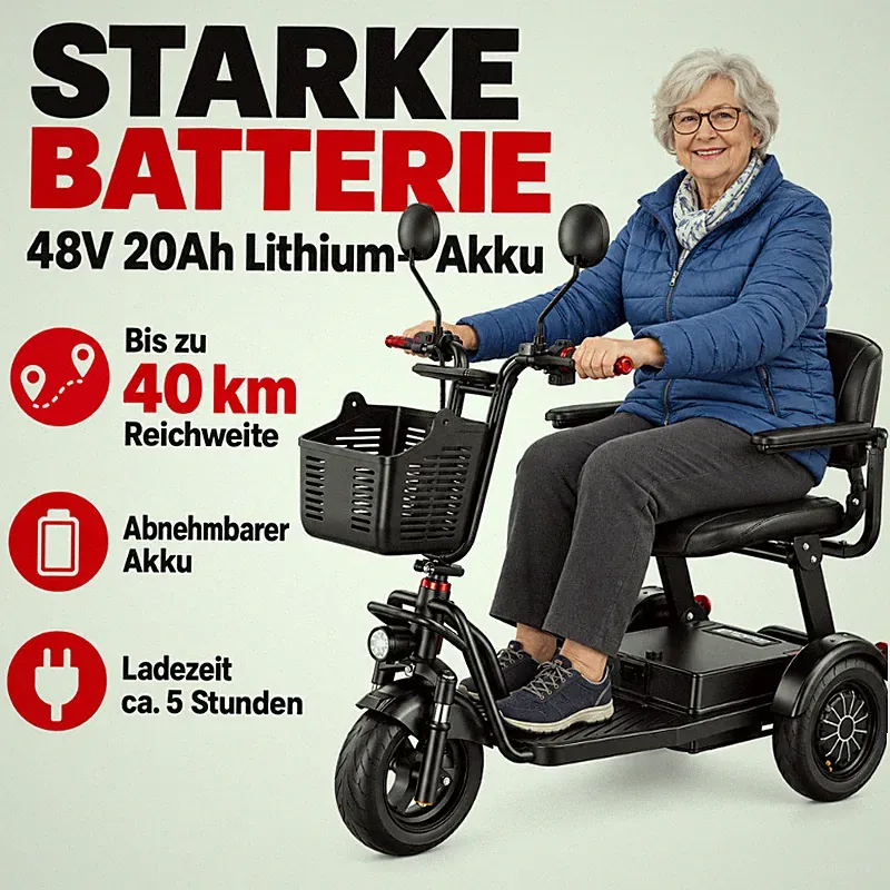Daibot Seniorenscooter klappbar 3 Rad 1000W 48V 20Ah mit Sitz und Rückwärtsgang