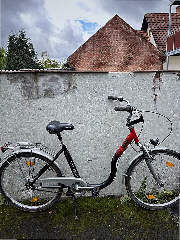 Dunlop City 501 City Bike 1 Gang Schwarz/Rot/Silber mit Gepäckträger