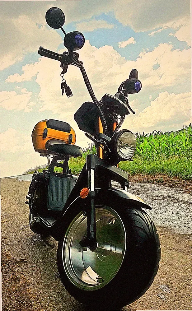 E-Chopper Luqi HL 3.0 Fatboy E-Roller 45km/h 72V Moped Motorrad E-Scooter 2-Sitz