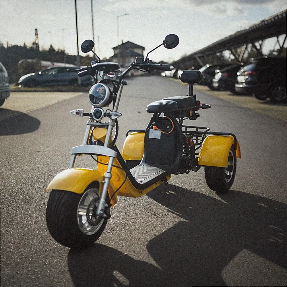 E-Scooter City Coco Elektroroller Roller mit Stra�enzulassung Trike Chopper 33AH