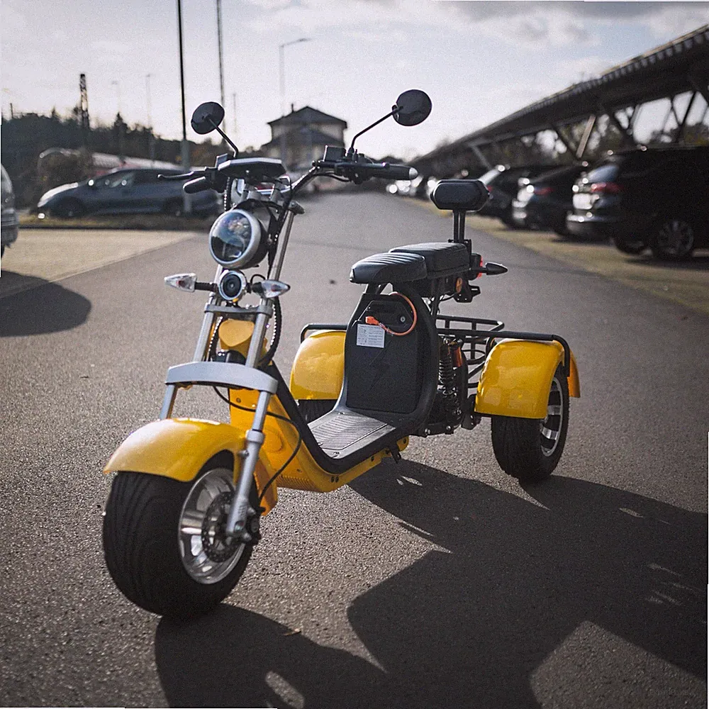 E-Scooter City Coco Elektroroller Roller mit Stra�enzulassung Trike Chopper 40AH