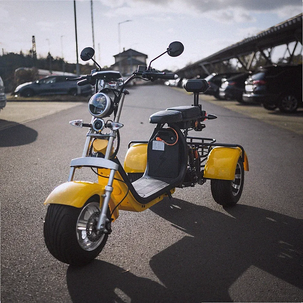 E-Scooter Citycoco Elektroroller Roller mit Straßenzulassung StVZO Trike Chopper