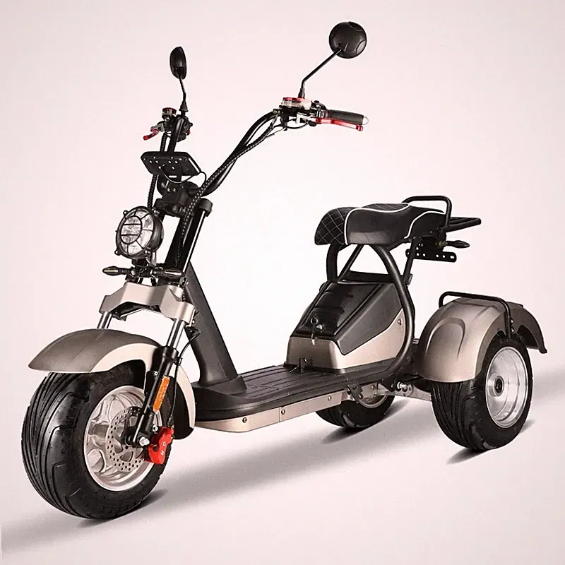 E-Scooter Coco Trike Bike bis zu 45 Km/H 60V 4000 Watt mit Straßenzulassung HM7