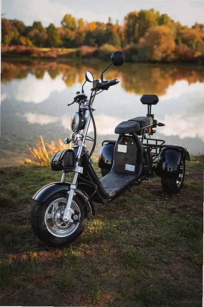 E-Scooter Coco Trike Bike Dreirad 60V 2000 Watt 2x12AH Akkus bis zu 70 KM