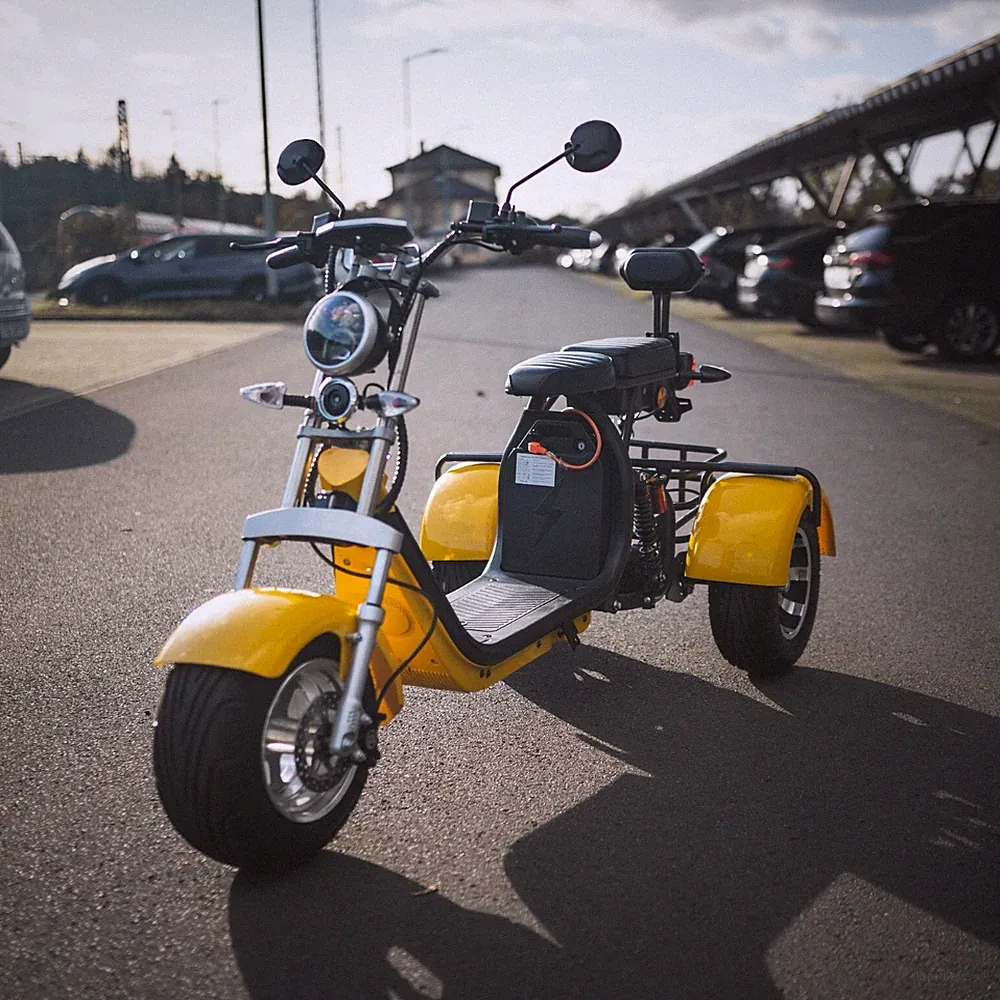 E-Scooter Coco Trike Bike Dreirad 60V 21ah 2000 Watt Straßenzulassung Citycoco