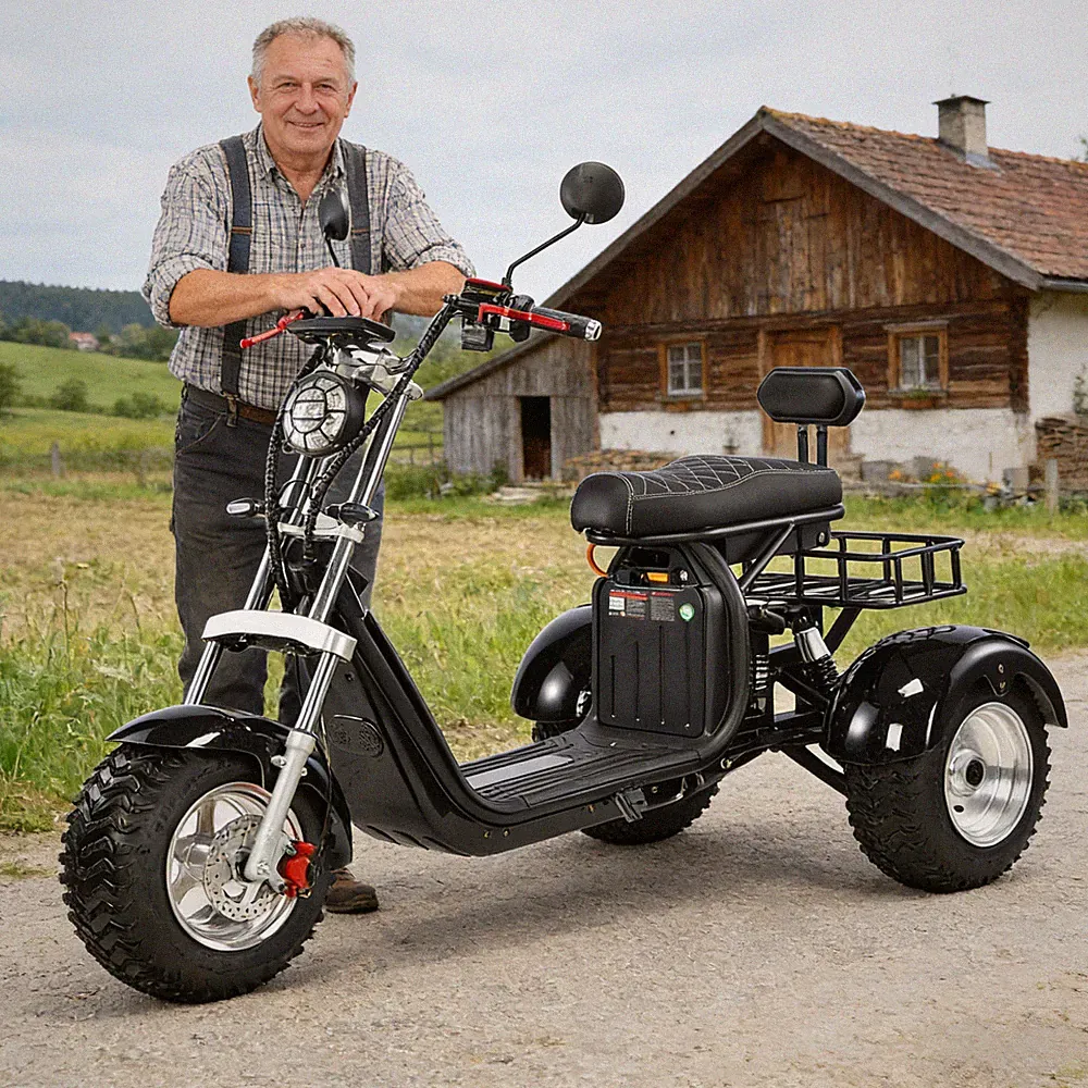 Elektrisches Dreirad mit 4000-W-Motor 45-55KM/H, deutsche COC-Straßenzulassung