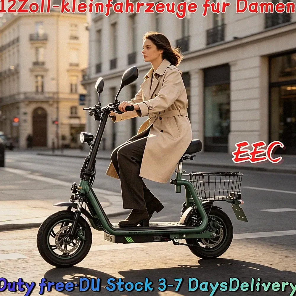 Elektroroller 48V 13AH Faltbar E-Scooter Mit Straßenzulassung 30KM 120kg TWOFISH