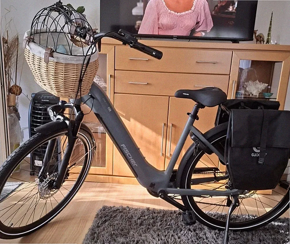 Fischer City Bike grau/schwarz mit Korb, Gepäckträger, Licht, Scheibenbremse