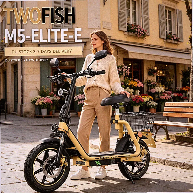 HOT Mit Straßenzulassung & EEC 14" Elektroroller,48V 13AH E-Scooter Mit Sitz DU