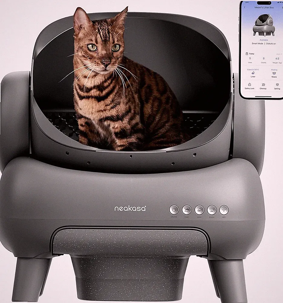Neakasa M1 Katzenklo Selbstreinigend Katzentoilette mit App-Steuerung & WLAN XXL