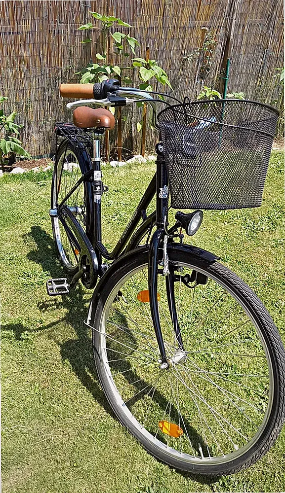 Pegasus Premio SL City Bike schwarz mit Korb, Gepäckträger, Nabenschaltung