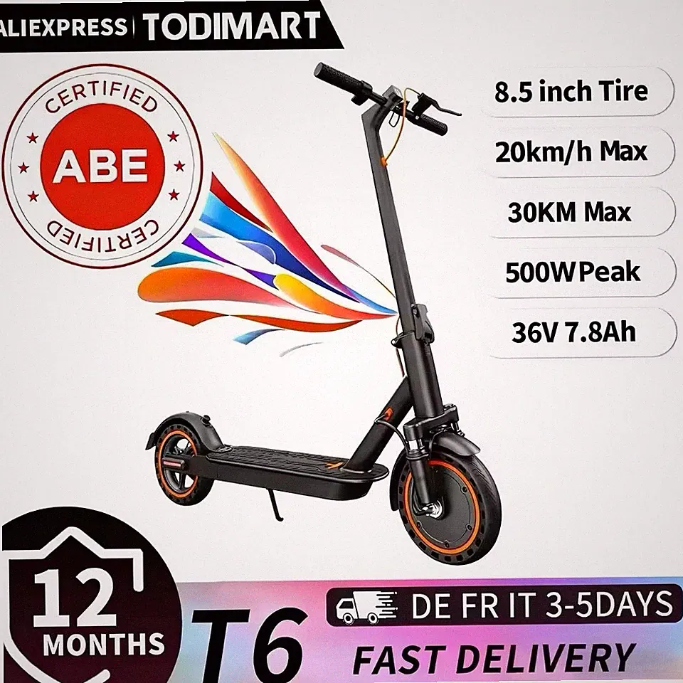T6 E-Scooter mit ABE Straßenzulassung 350W 30km Reichweite 10 Zoll Faltbar Neu