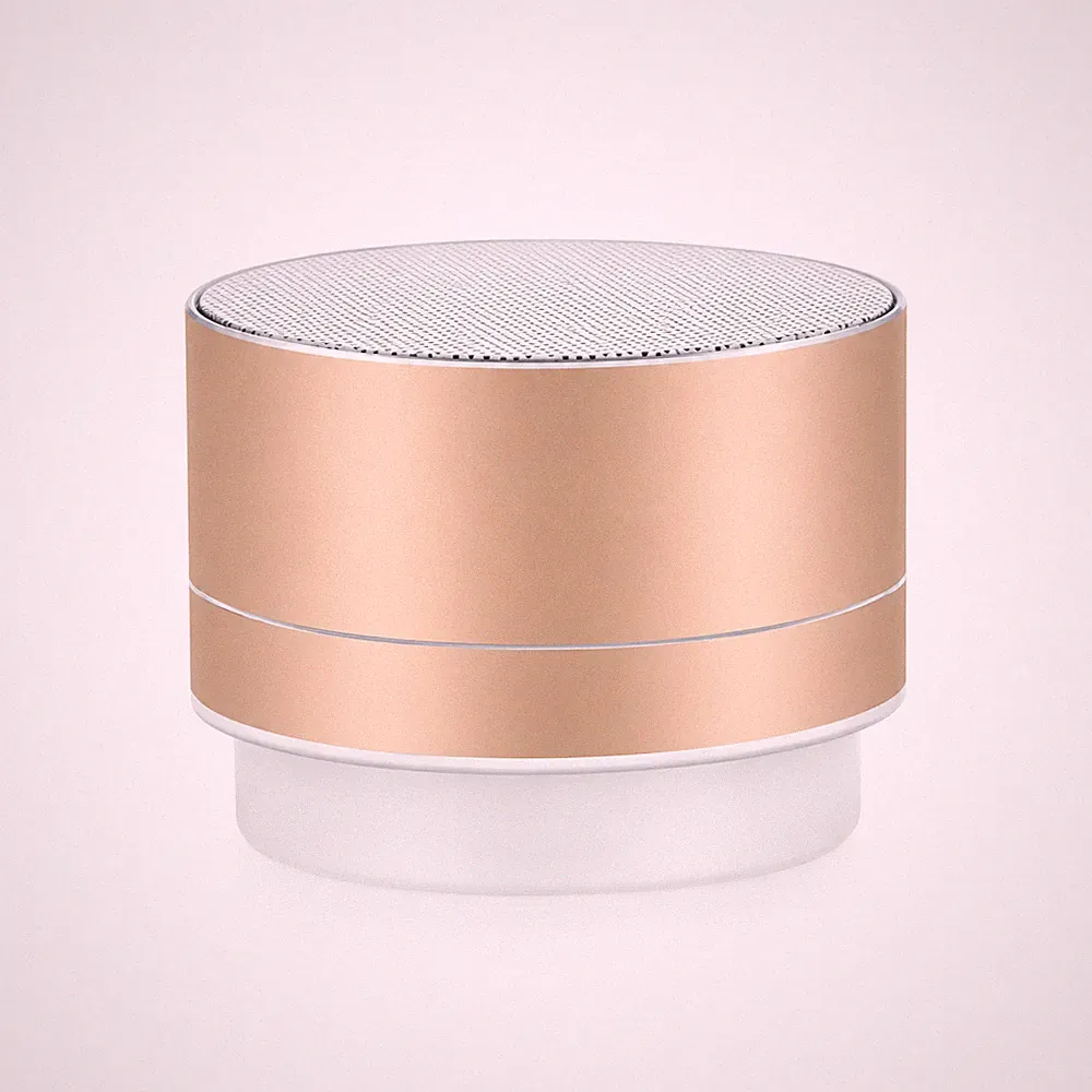 Tragbarer Bluetooth Lautsprecher mit FM-Radio – Kompakte Musikbox aus Aluminium