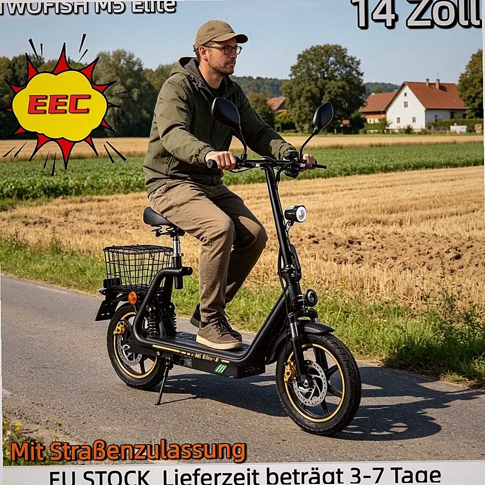 🔥TWOFISH 14" Elektroroller Mit Sitz,Mit Straßenzulassung&EEC 48V Elektro-Roller