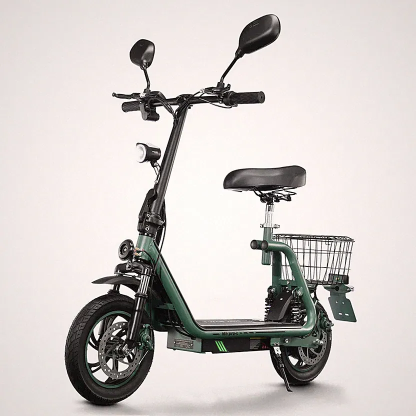 Twofish 500W 12" Elektroroller für Pendler mit Sitze für Erwachsene 20km/h