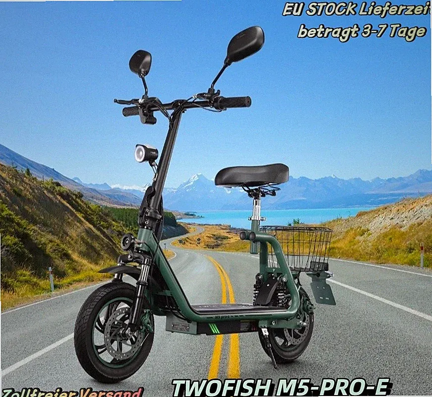 Twofish 500W 12" Elektroroller für Pendler Sitze für Erwachsene 20km/h