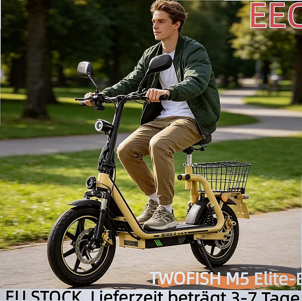 TWOFISH E-Scooter 14" Elektroroller Mit Sitz,Mit Straßenzulassung & EEC 48V 13AH