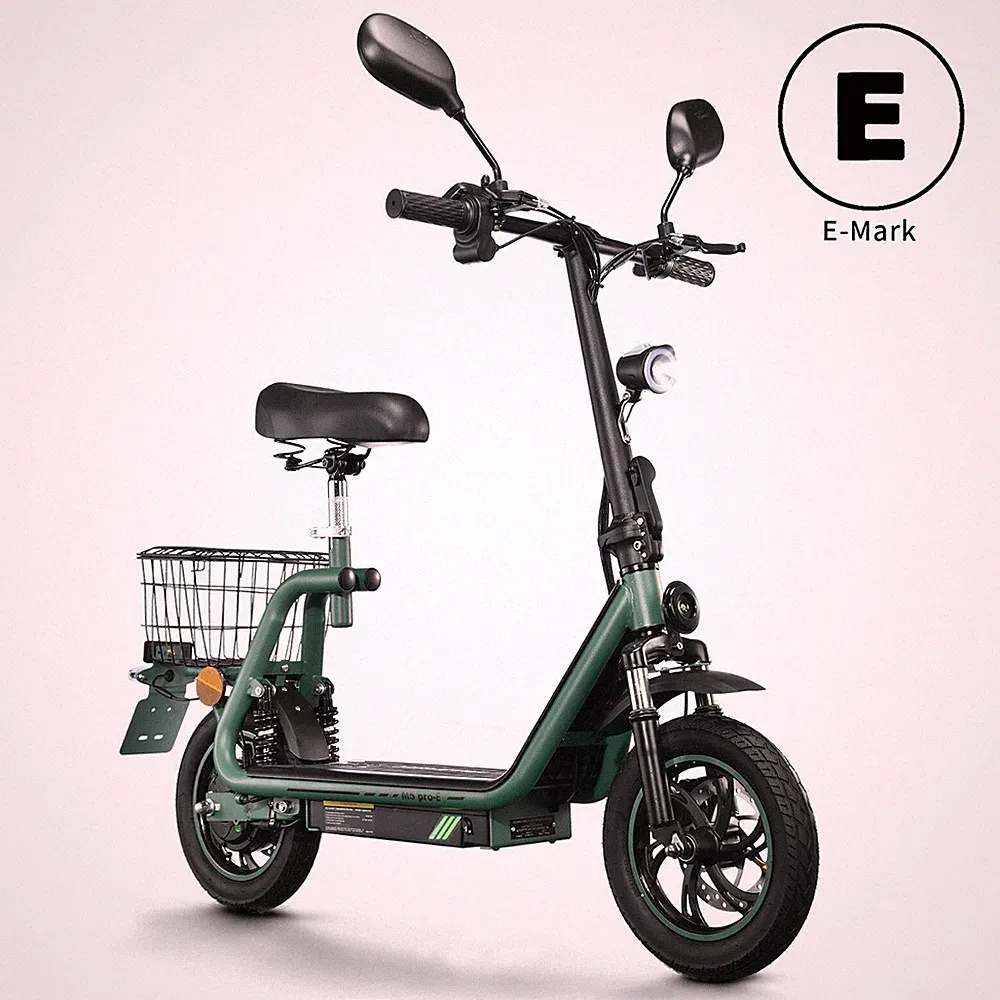 TWOFISH M5 PRO 12" Elektroroller 48V 13AH Mit Straßenzulassung Scooter mit Sitz