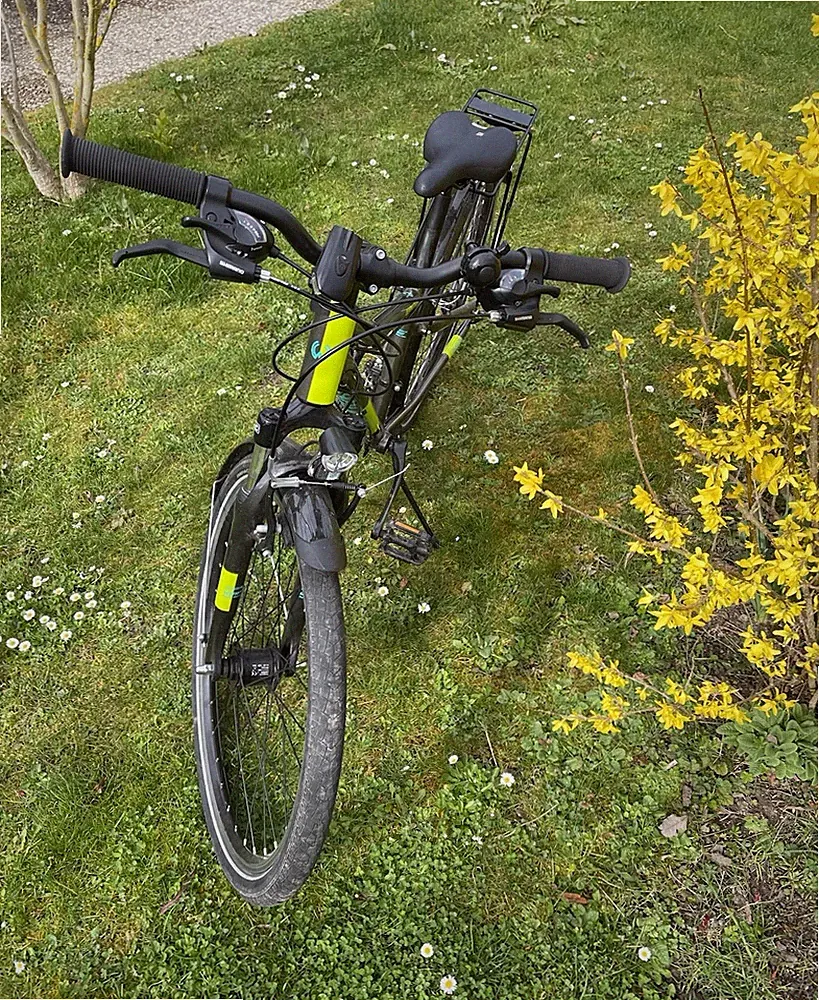 Winora City Bike Grau/Grün mit Federgabel, Gepäckträger, Schutzbleche